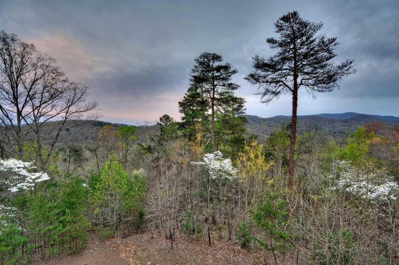 Blackberry Lodge Blue Ridge Exteriér fotografie